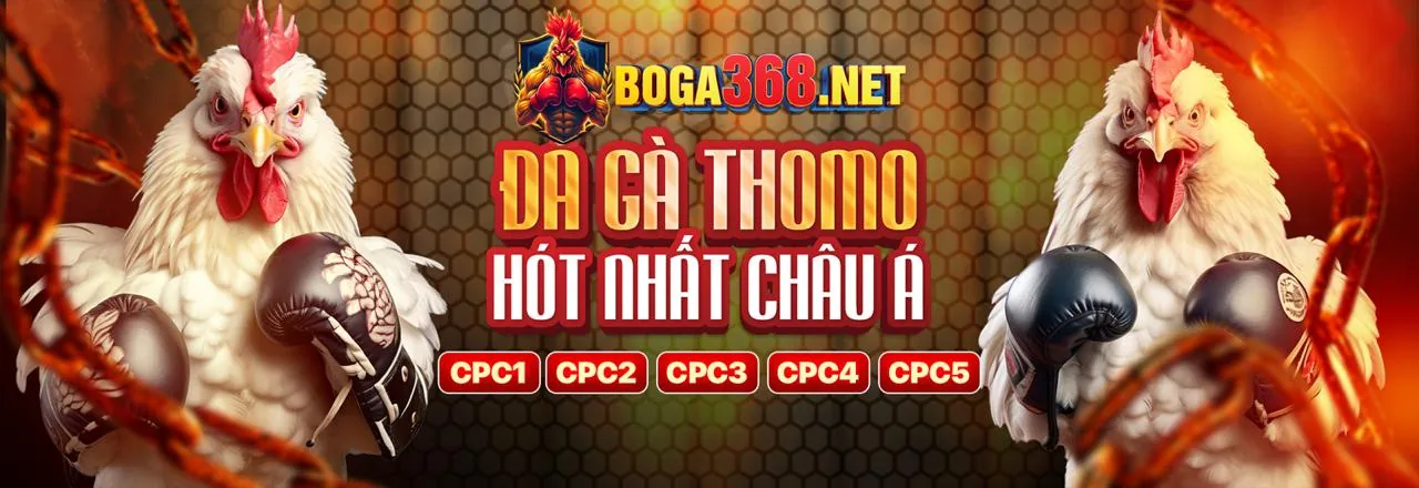 Hình ảnh tổng hợp các trò chơi banca30 với hướng dẫn chi tiết